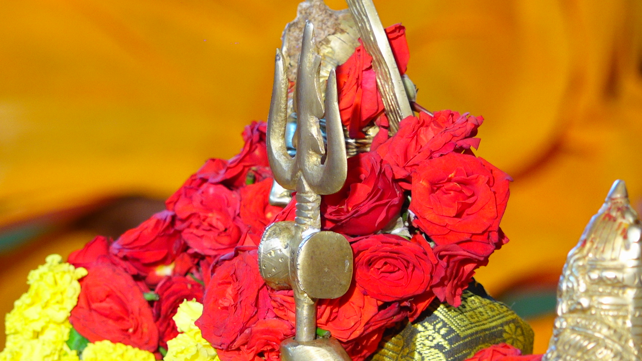 Heritage gold ring collection